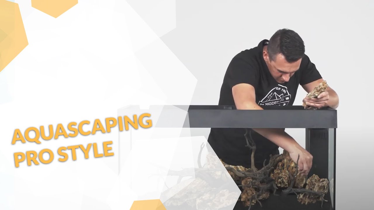 Aquascaping Profi Variante - Aufbau eines Aquariums Anleitung von einem Scaper - Tutorial in Deutsch