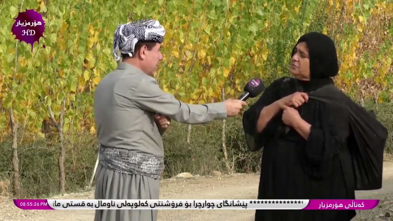٢٣ نوفمبر ٢٠٢٣