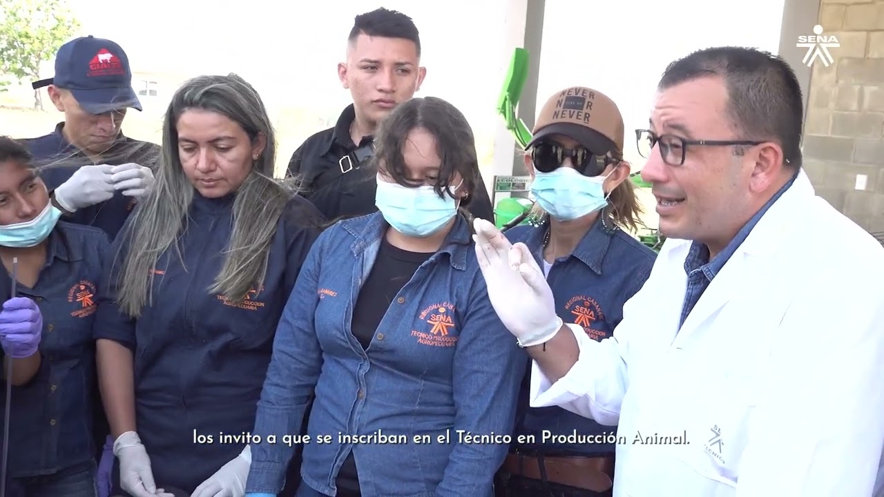 Técnico en Producción Animal