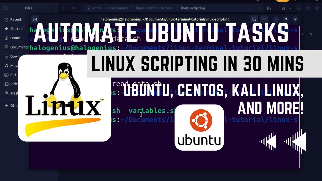 Learn Linux Scripting in 30 Minutes | Automate Ubuntu Tasks