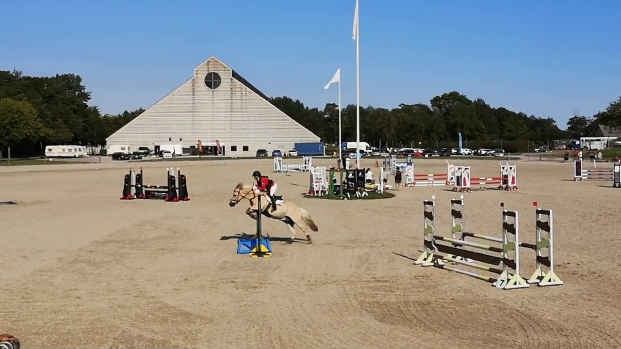 Fjordhest Nordisk Mesterskab 2019 Danmark - Guld - Zenia Jørgensen og Apollo, Spring Senior
