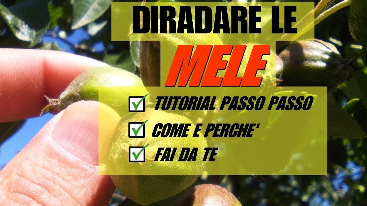 DIRADARE LE MELE