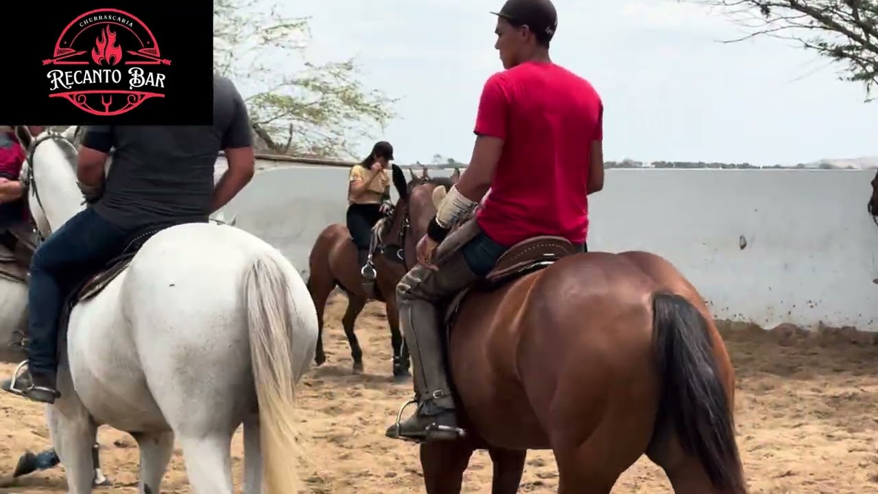 BASTIDORES DO 4• DIA DE CLASSIFICAÇÃO,VAI FINALIZAR O MAPA , COMEÇA FINAL DERBY 