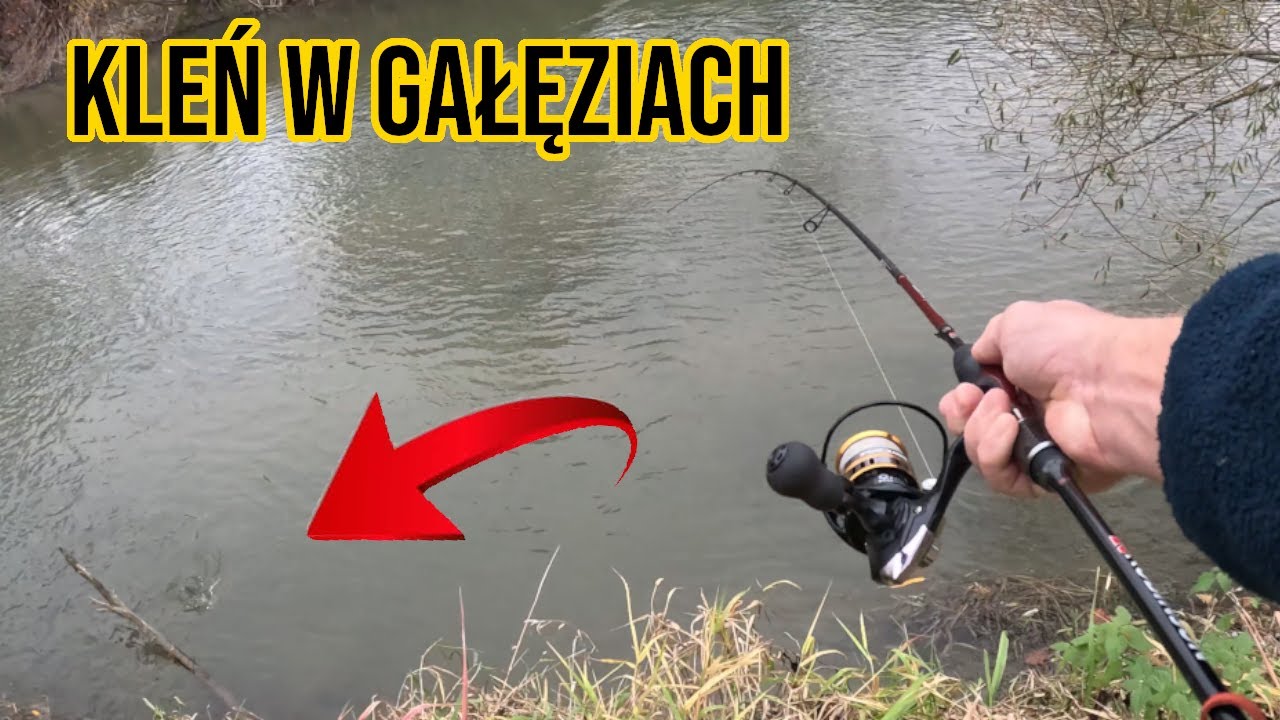 TEN KLEŃ zrobił DZIEŃ