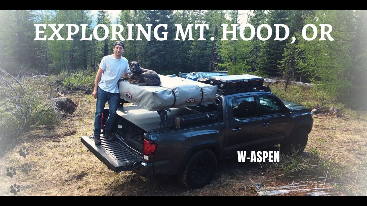 Unveiling Mt. Hood's Hidden Camping Gems | Adventures with Aspen | Exploring Mt Hood, Oregon in 4K!