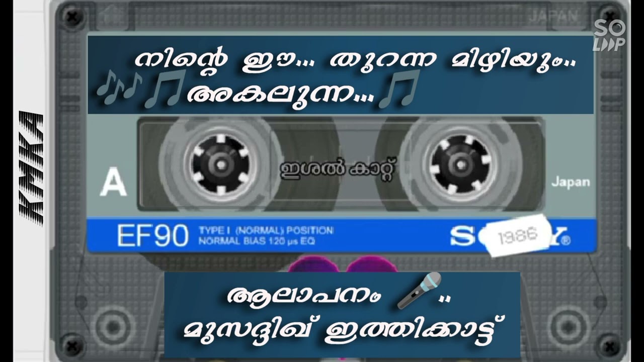 #mapilasong #thallumaala #romantic #hindisong #tamilsong #chavakkadbeach #cinematic