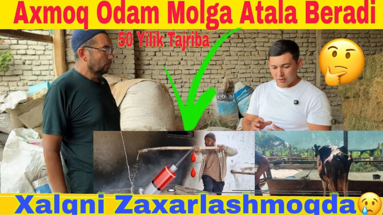 Chorvodorlarni 😇Qiynayontagan Glabal 😨Momolarga Yechim! Blogerlar 🥸Xalqni Aldaybdimi?