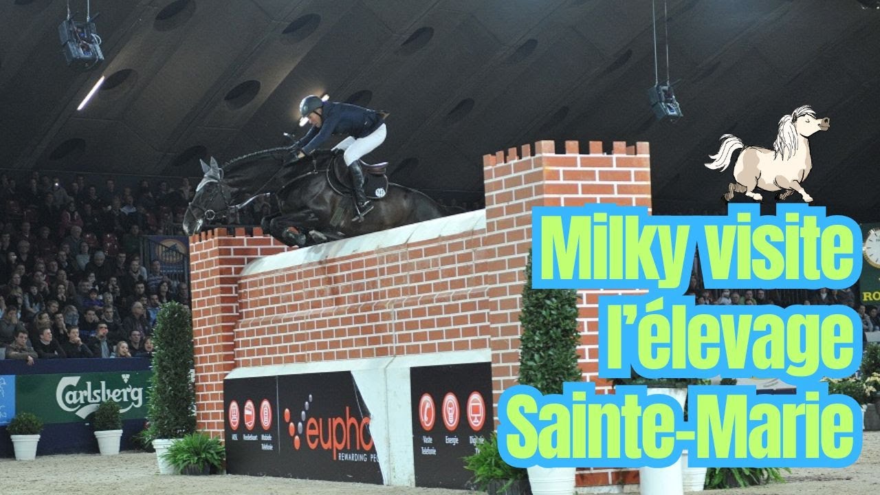 L’élevage Sainte Marie - Les Reportages de Milky
