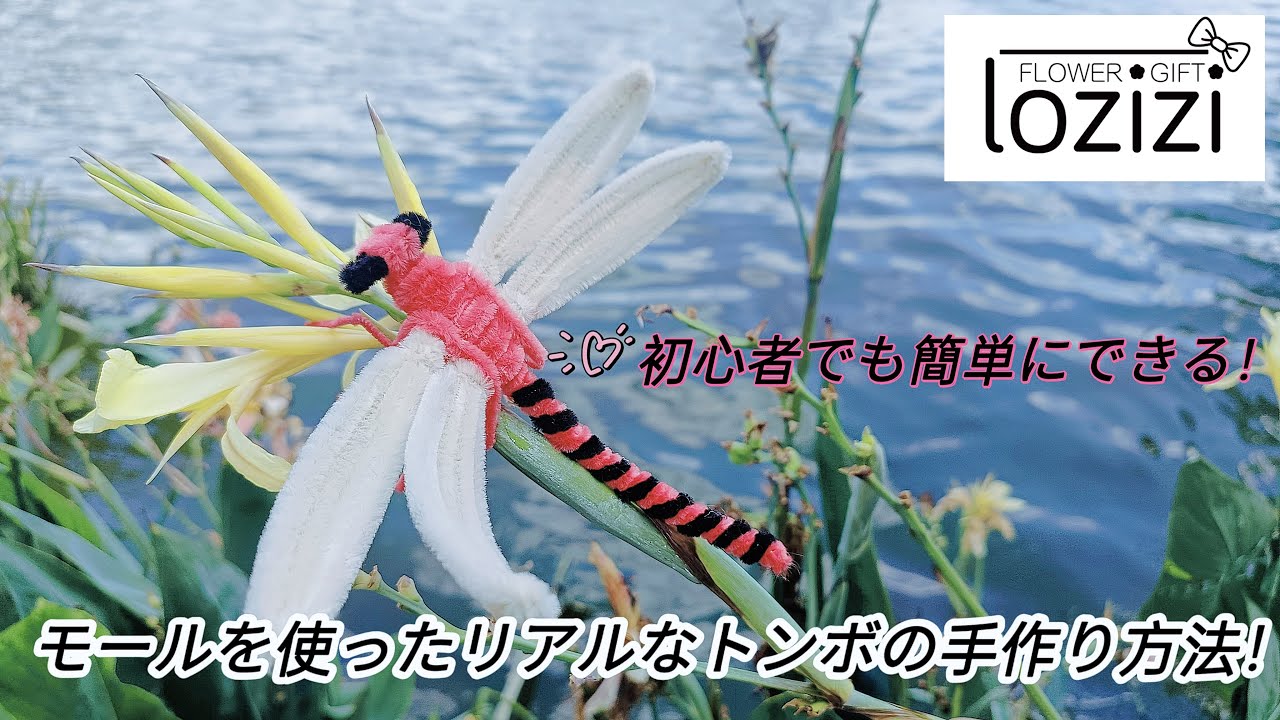 初心者でも簡単にできる！モールを使ったリアルなトンボの手作り方法！