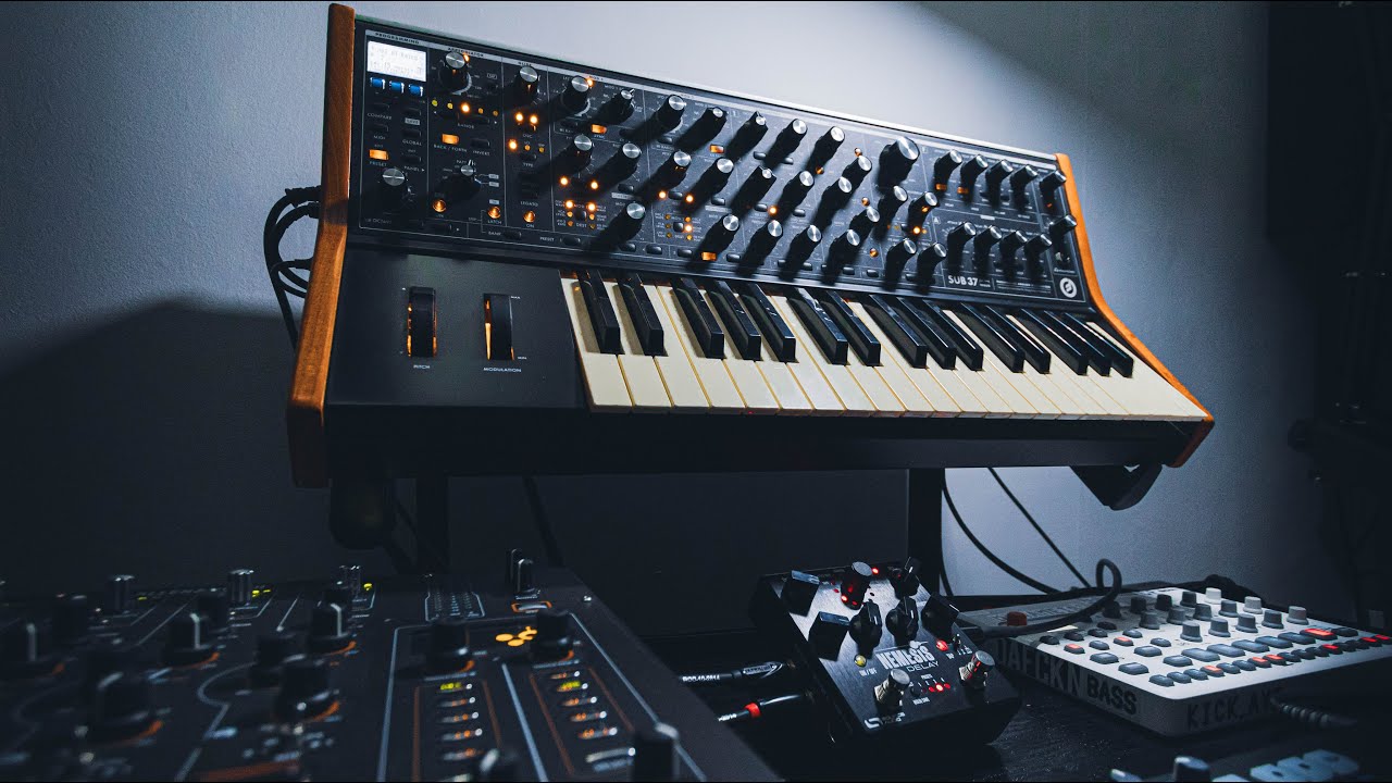 Live Performance with Moog Sub 37 and Nemesis Delay