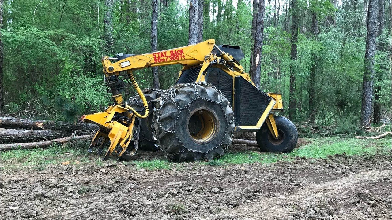 Bell Ultra C feller buncher