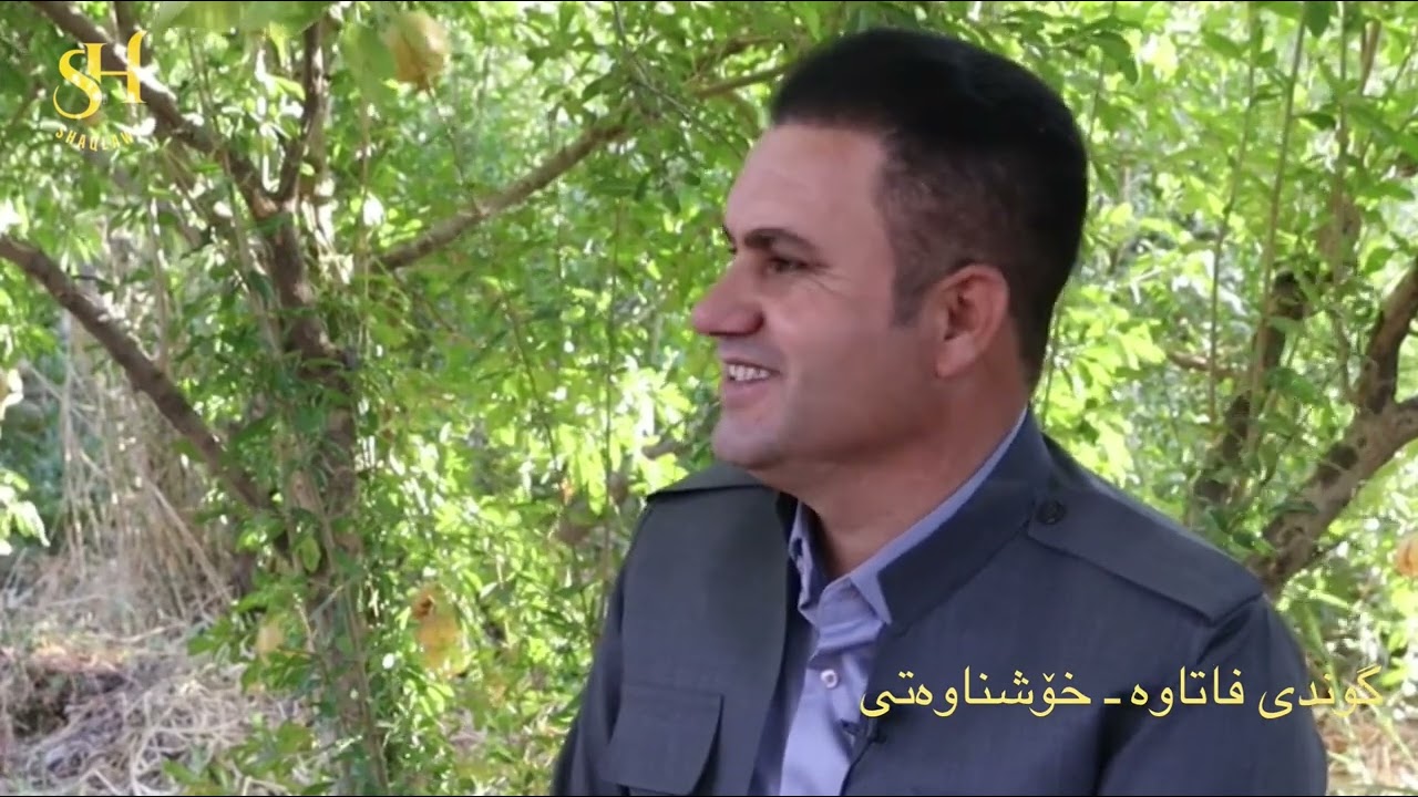 قەزای شەقڵاوە: جوتیارێکی نمونەیی و شارەزا لە باخ و باخات ..ئامادەکردنی: موحسین قەسرۆکەیی -٢٠٢٥
