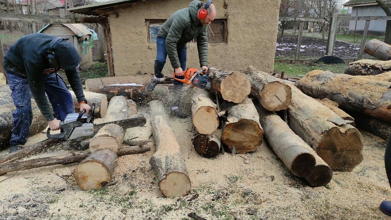 Actiune in forta cu drujbele Husqvarna 550 si Mcculloch Munca in trei