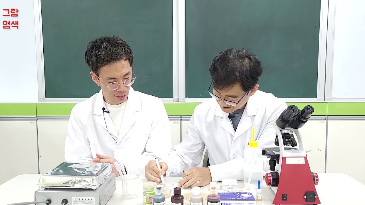 그람 염색(Gram staining)