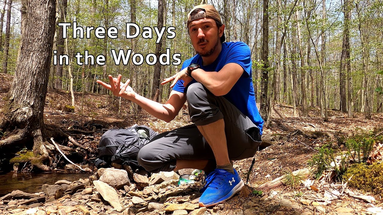 A Walk in the Woods - Hammock Camping the Old Loggers Path