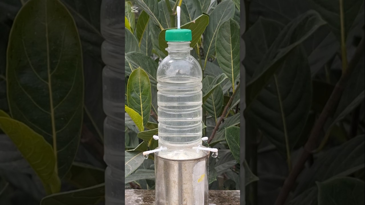 Multiple homemade drip irrigation system #diy