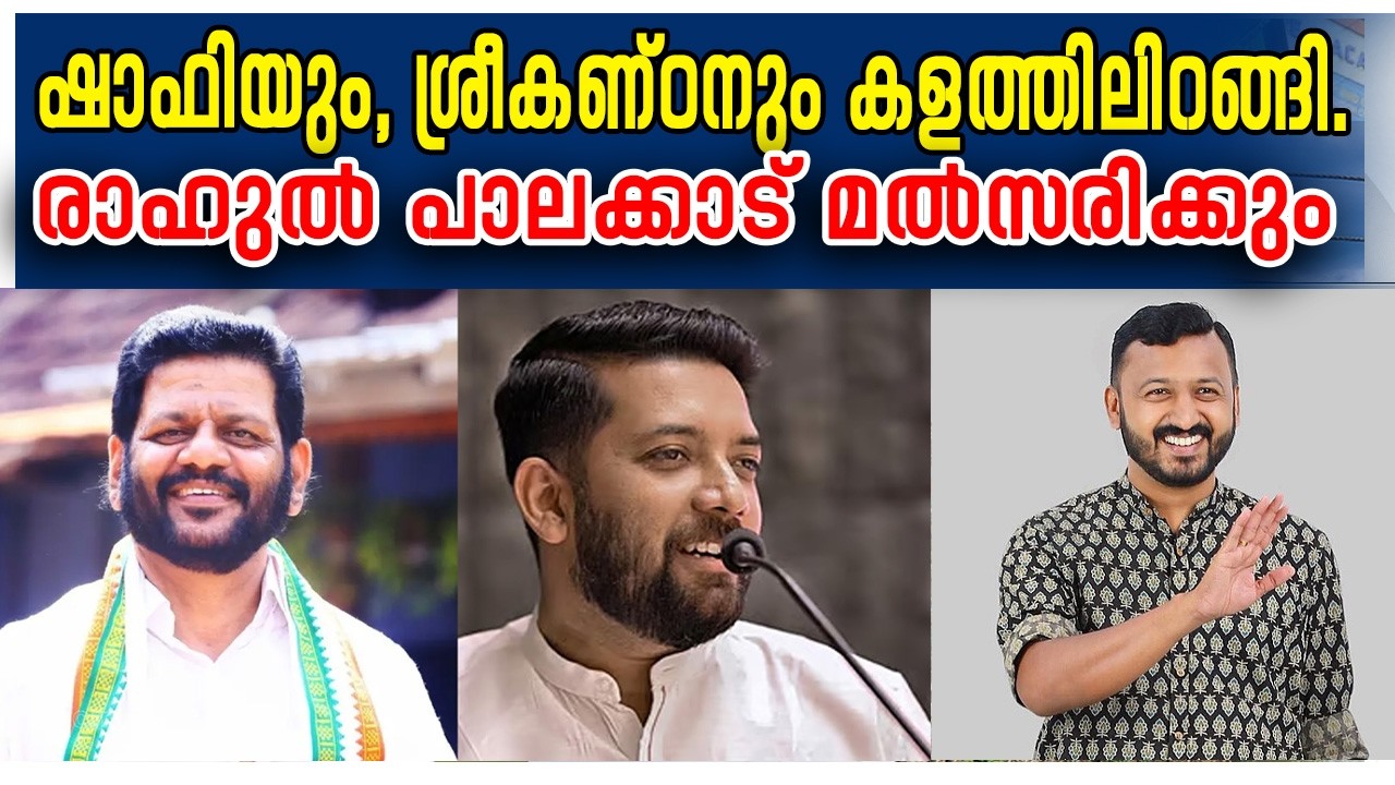 ഷാഫിയും, ശ്രീകണ്ഠനും കളത്തിലിറങ്ങി.രാഹുൽ പാലക്കാട് മൽസരിക്കും...| A2Z NEWS MALAYALAM 24...