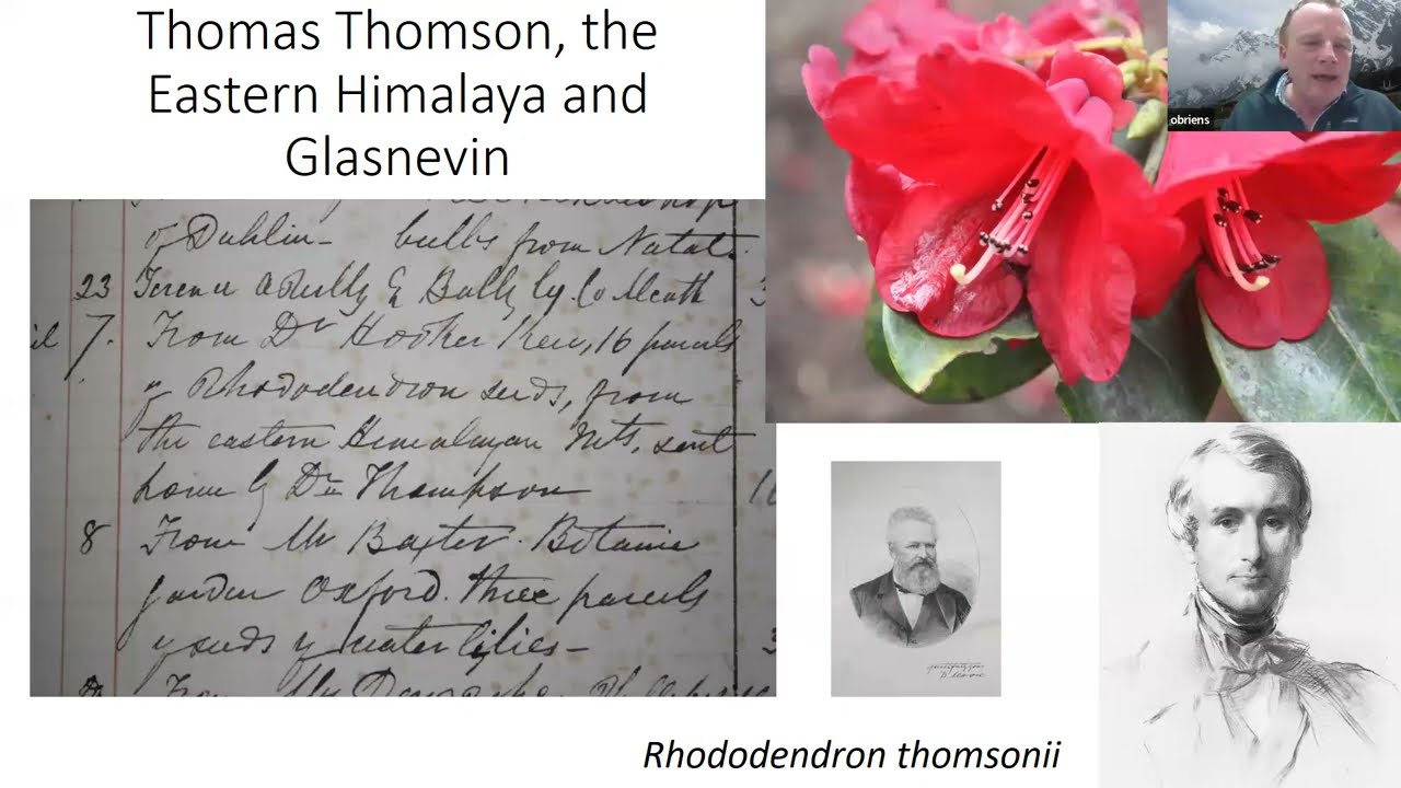 The Moores of Glasnevin: the Irish Rhododendron Story By Seamus OBrien