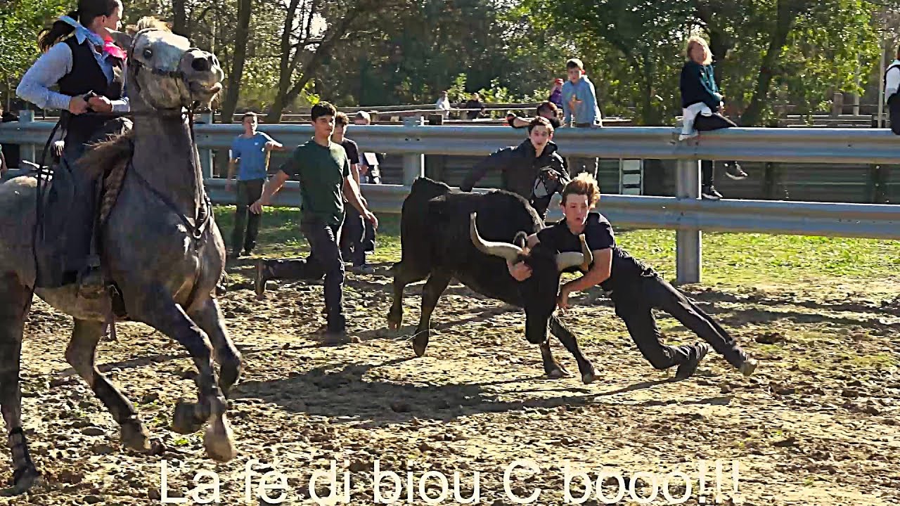 Abrivado en pays - Association Des Enfants De Lyme - 02 11 2024