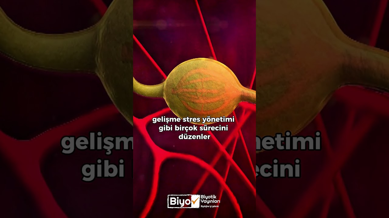 Hormonlar #biyoloji #biyolojidersi #yks #hormon #v&uuml;cut #enzim #biyotikyayınları