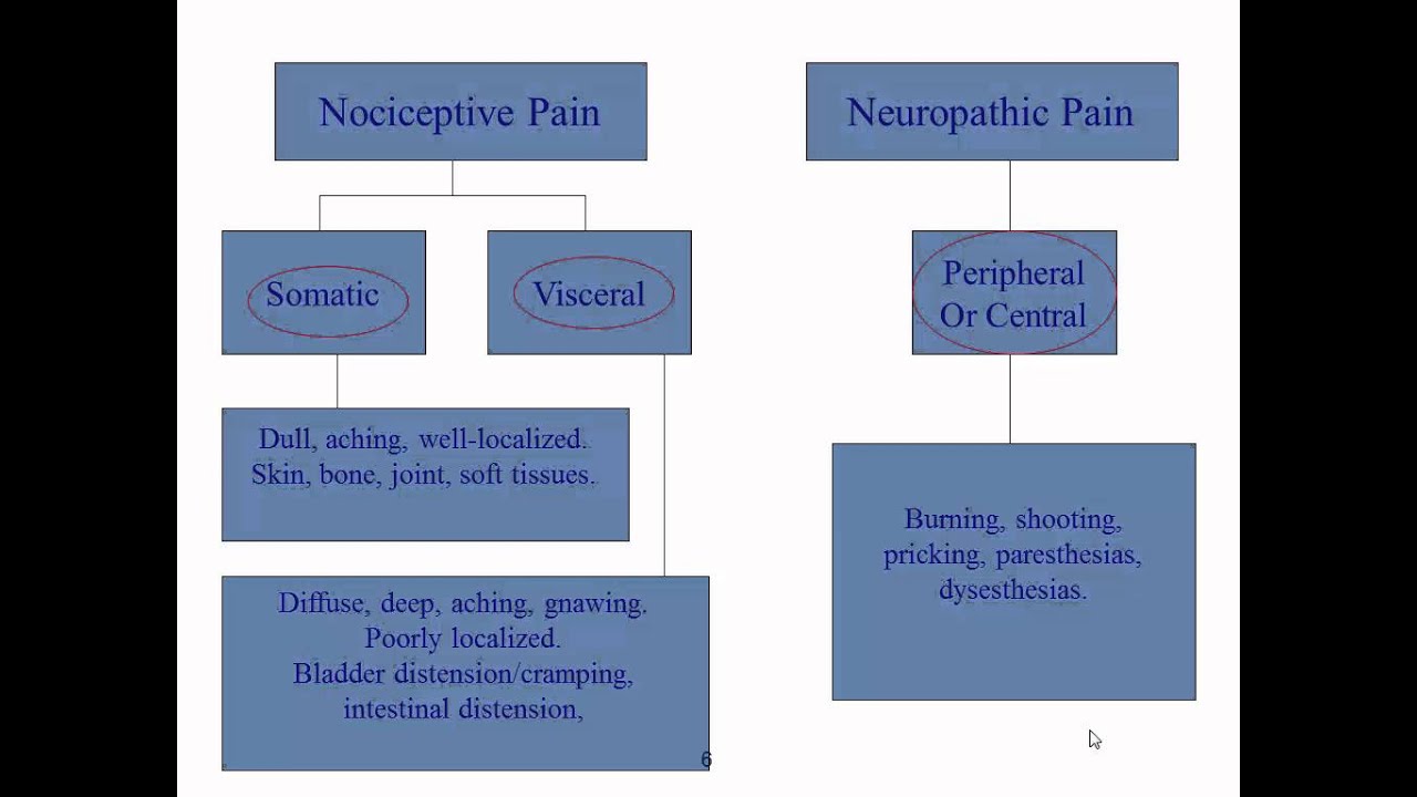 Different types of pain