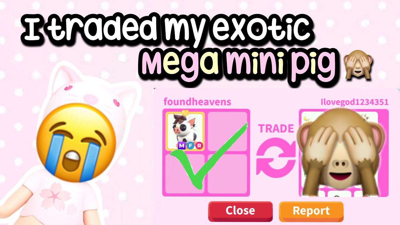 I traded my EXOTIC mega mini pig😬! #adoptme