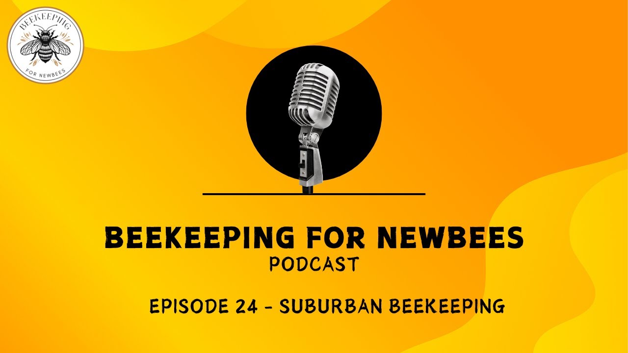Episode 24 - Suburban Beekeeping #beekeeping #honeybee