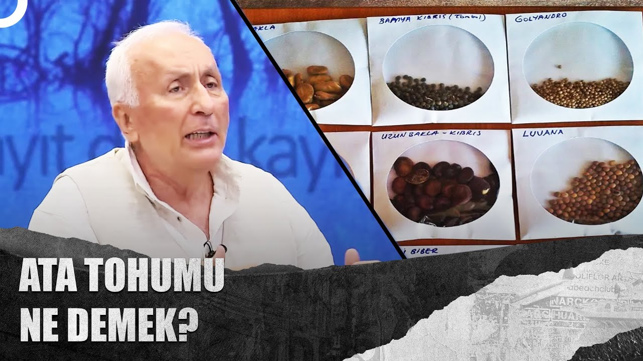 İsmail Tokalak'ın Tohum Yasası ve Ata Tohumu Yorumları @Tv100bilimtarih