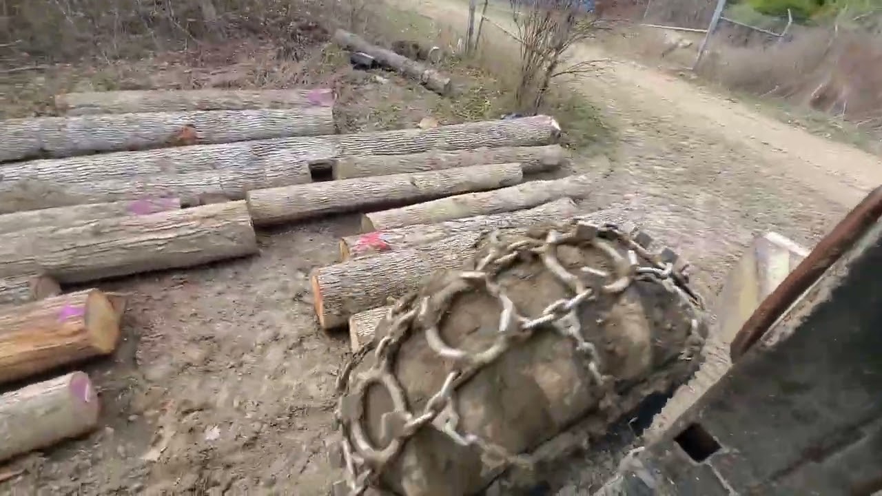 C6D Treefarmer Skidding Wood Part 3