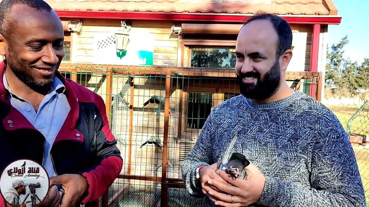 اعلان جد ممتاز من مدينة سمارة عند البطل الكبير ياسر عزوز 17/02/2022