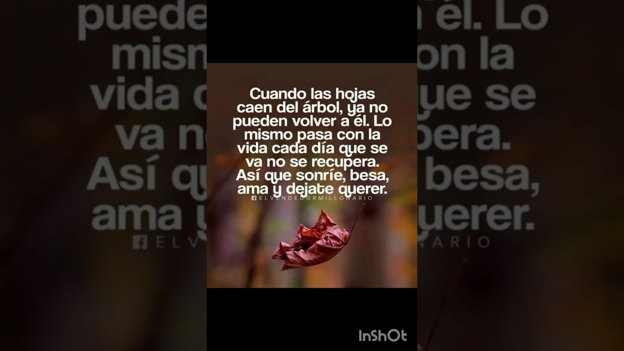 Amor propio