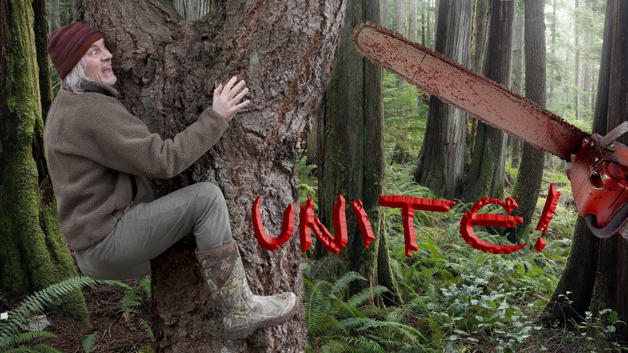 Tree Huggers UNITE! CHAOS in the WOODS, is this the END?