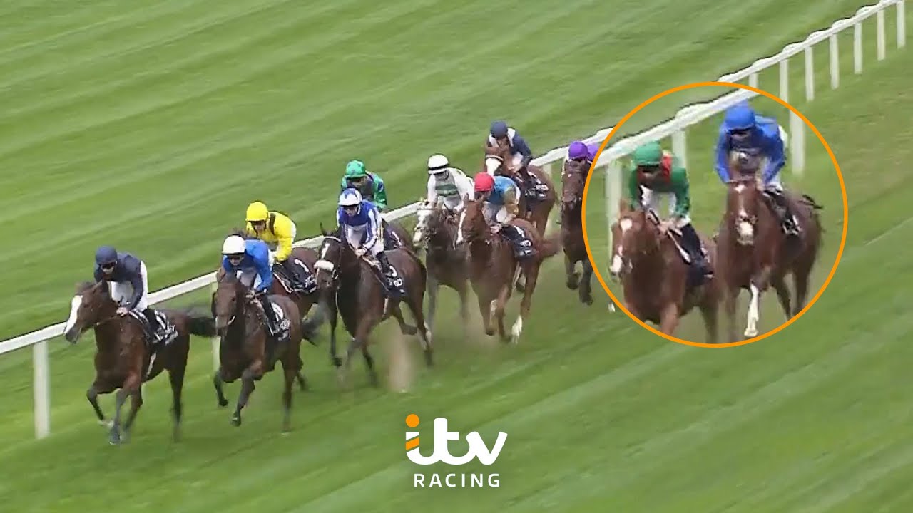 How Calandagan WON the Qipco Champion Stakes! | Expert Reaction and Analysis