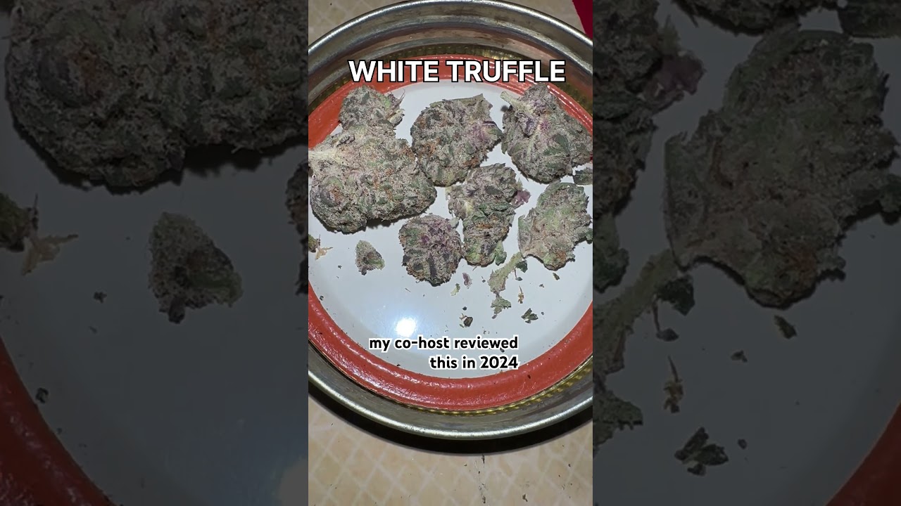 White Truffle Cannabis Strain 2025 #strainreviews #420 #cannabiscommunity