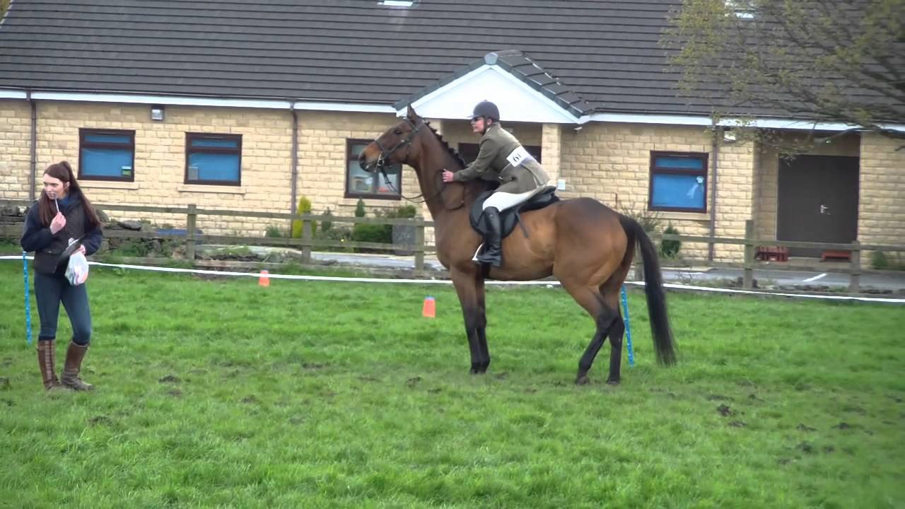 Cloudy Deal, aka Maximus, Hargate Hill Horse Show, Racehorse to Riding Horse