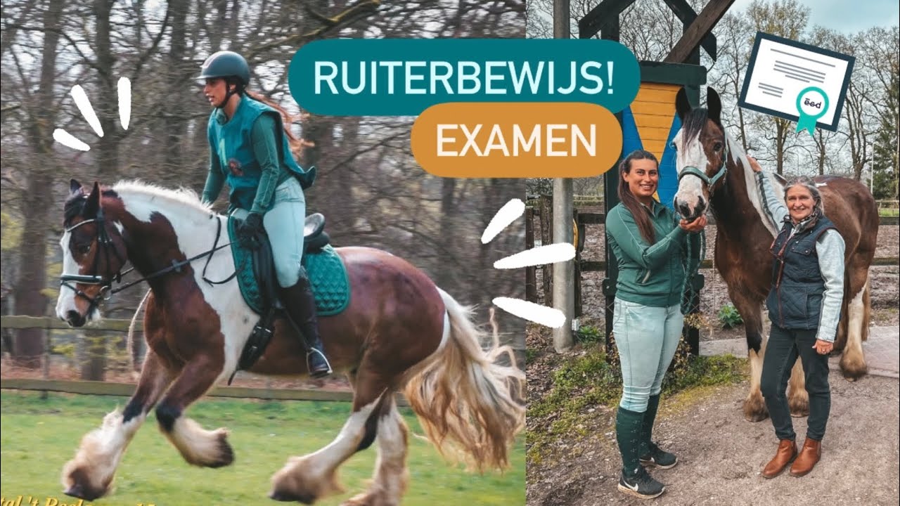 RUITERBEWIJS EXAMEN!
