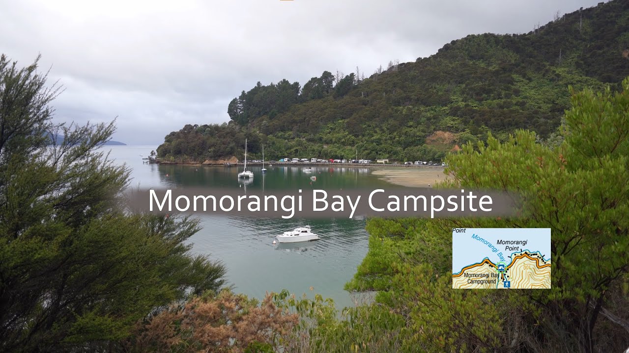 Camping at the DOC Campsites - Momorangi Bay Campground