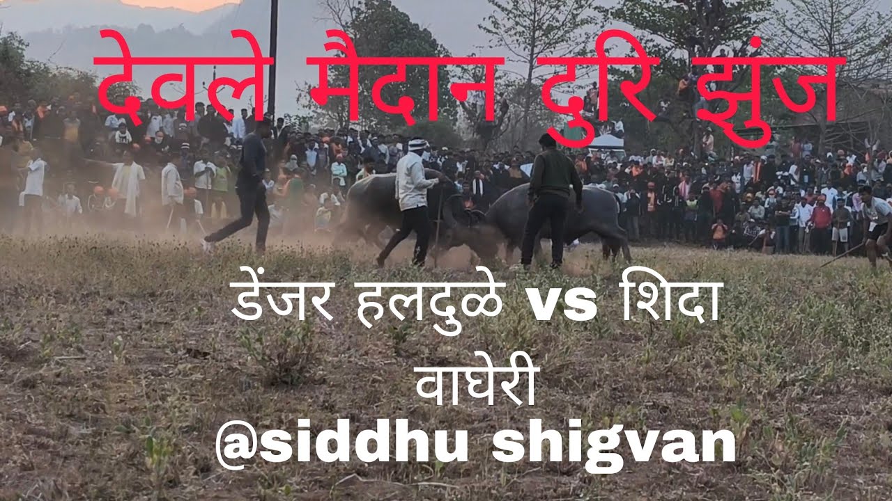 डेंजर VS शिदा वाघेरी दुरि झुंज # झुंज