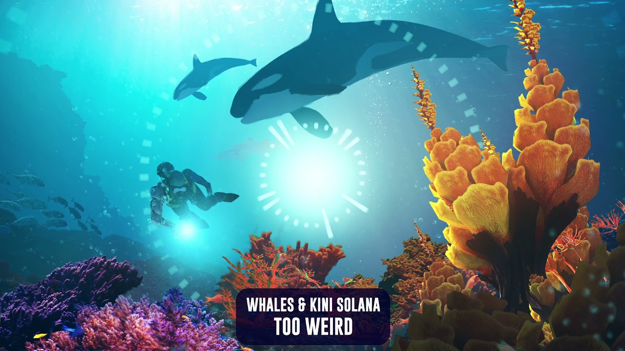 Whales & Kini Solana - Too Weird | Subsidia