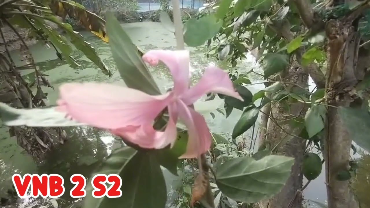 New Golpo -  ভয় নাকি ভালোবাসা ( Part :- 3 ) Voy Naki Valobasha Salma voice 10   