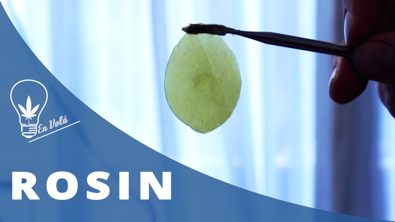 TUTORIAL EN VOL&Aacute;: ROSIN