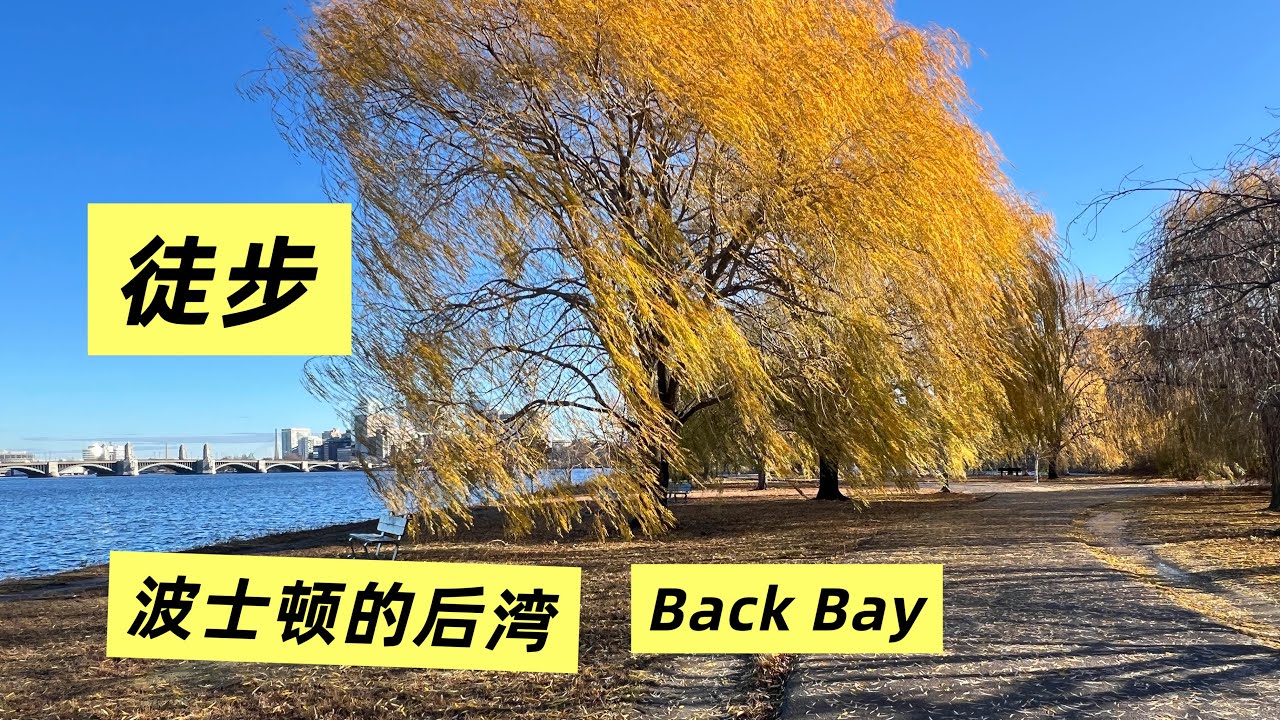 冬天来看波土顿14：清晨在后湾区徒步 纽伯里街上欣赏民宅 查尔斯河边看金色杨柳 Hiking at Boston-Back Bay of Boston