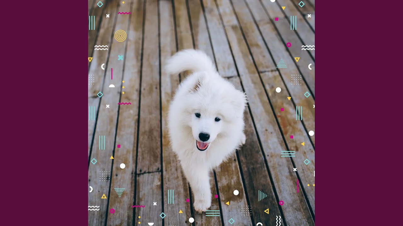 Fabulous Moods for Dog Rewards