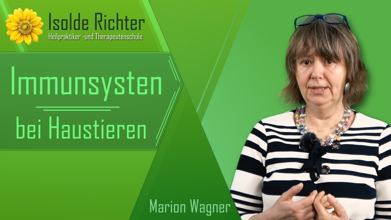 Was ist Isopathie und wie hilft sie dem Immunsystem deiner Haustiere?
