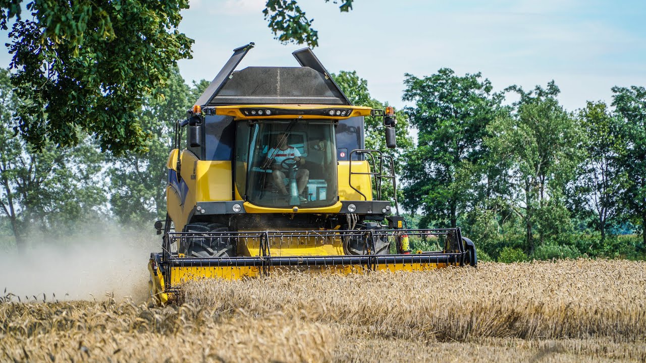 Żniwa 2020 - Pszenica/Pszenżyto || New Holland CX6.80 & New Holland T7.230 ✩ 4K