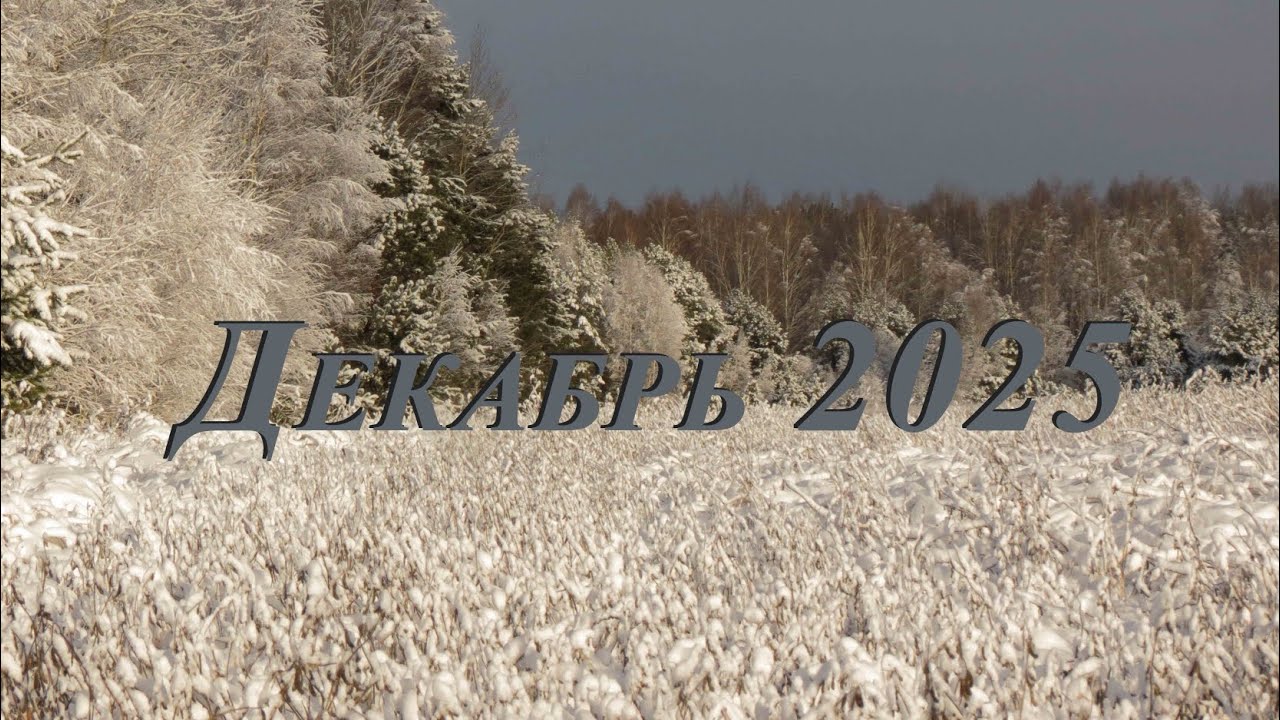 Декабрь 2025 в рязанской Мещере