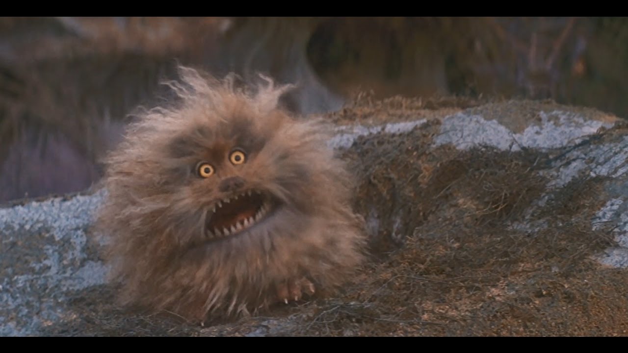 Fizzgig