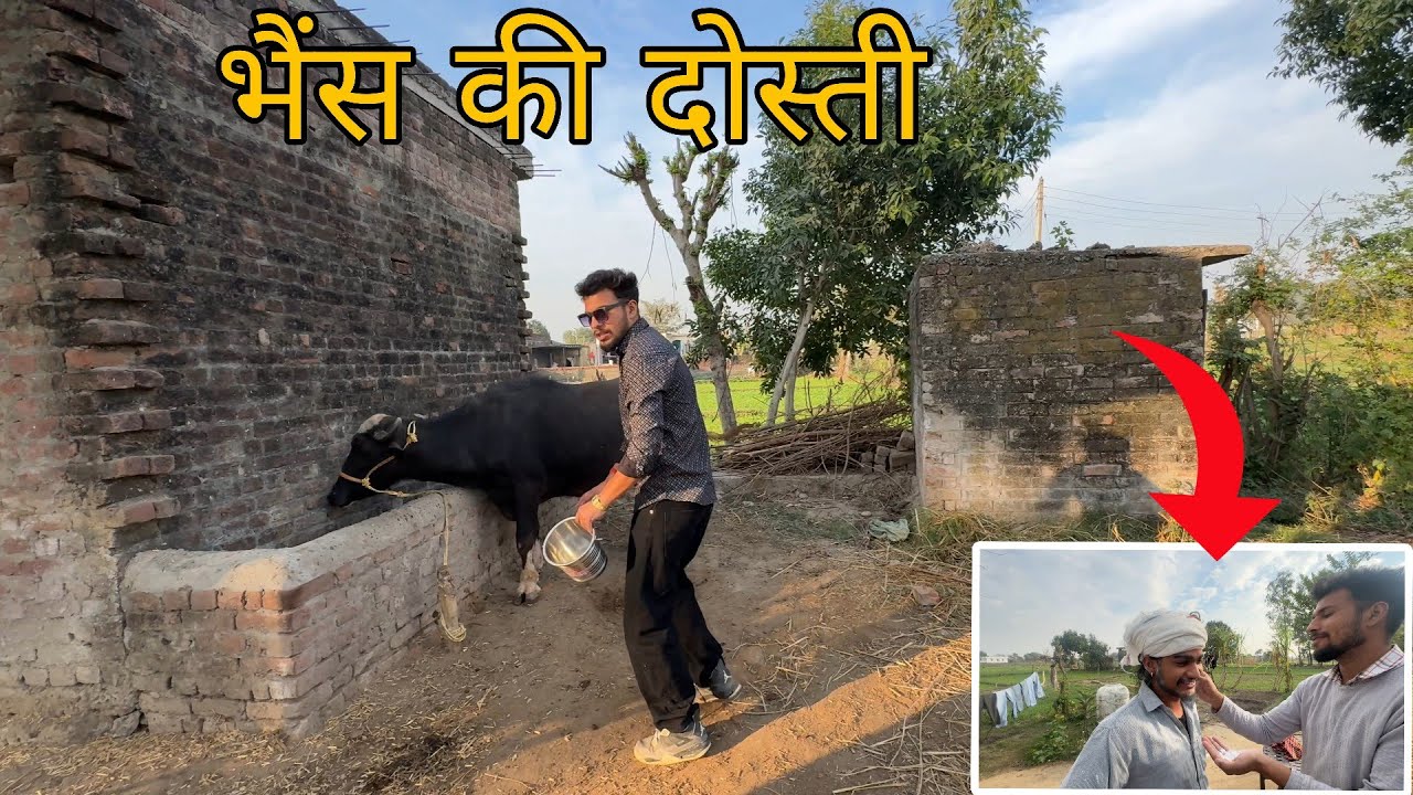 भैंस की दोस्ती😂🐃||Family vlog🎀||Sahil Beyal Vlogs||