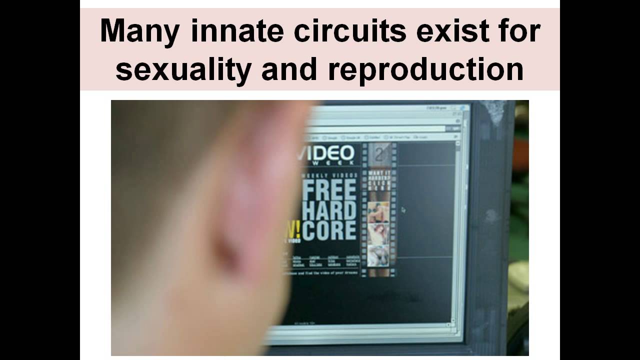 Your Brain on Porn: How Internet porn affects the brain