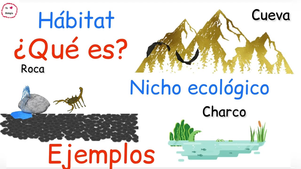🏔️ Hábitat y nicho ecológico- Ejemplos- @Biología y Ecología
